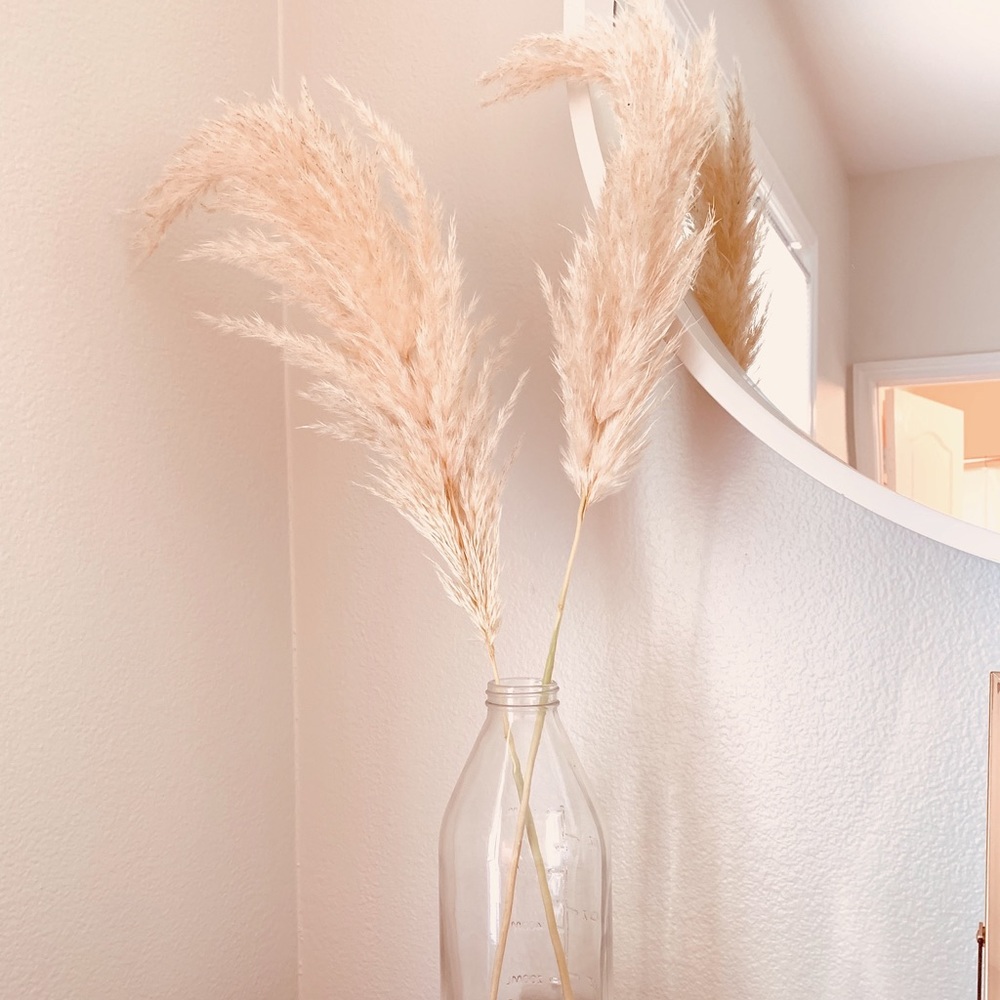 Pampas grass!!